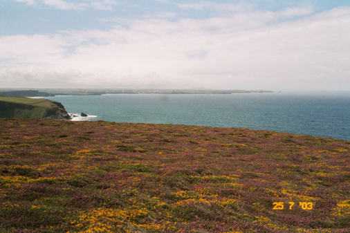 29 cornish scene