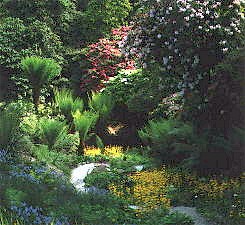 Trebah Garden, Falmouth, Cornwall